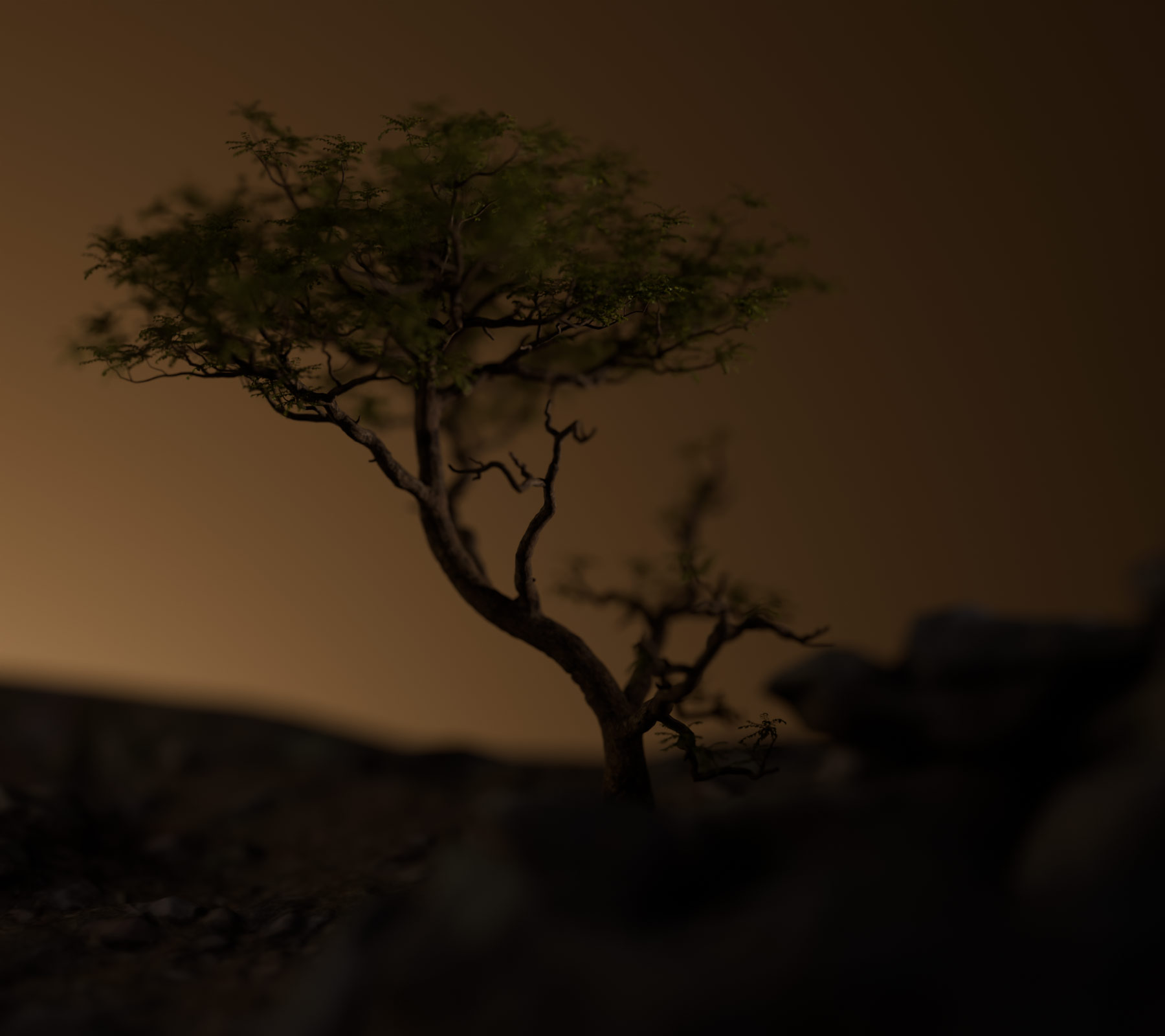 wholesale-main-01-render-partner